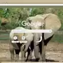 Voi  screen for extension Chrome web store in OffiDocs Chromium