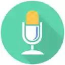 Voice In Voice Typing  screen for extension Chrome web store in OffiDocs Chromium