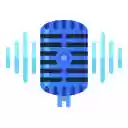 Voice Recorder  screen for extension Chrome web store in OffiDocs Chromium