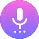 Voice Recorder (with AI Noise Cancellation)  screen for extension Chrome web store in OffiDocs Chromium