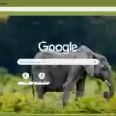 Voi rung  screen for extension Chrome web store in OffiDocs Chromium