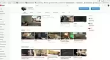 Free download voodoos youtube page free photo or picture to be edited with GIMP online image editor