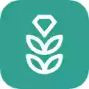 VPN Rice: Fast  Secure Proxy  screen for extension Chrome web store in OffiDocs Chromium