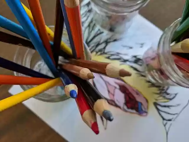 Free download Vulva Coloring Sex Education -  free photo or picture to be edited with GIMP online image editor