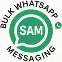 WA Bulk Message Sender  screen for extension Chrome web store in OffiDocs Chromium