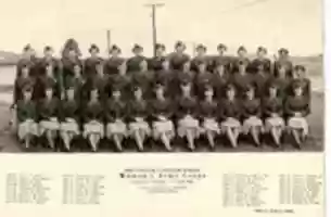 Free download WACs in the Post-WW2 U.S. Army free photo or picture to be edited with GIMP online image editor