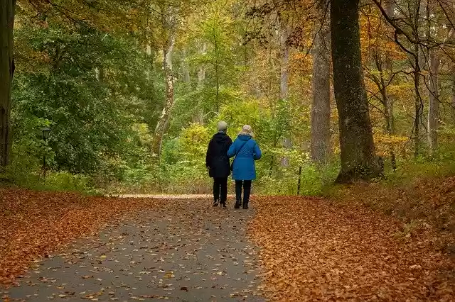 Free download Walk Autumn Nature -  free photo or picture to be edited with GIMP online image editor