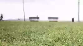 Free download Walking Holiday Stroll -  free video to be edited with OpenShot online video editor