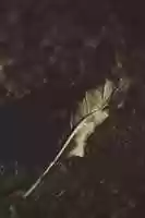 Free download Wall 3 free photo or picture to be edited with GIMP online image editor