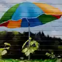 Wall and Umbrella  screen for extension Chrome web store in OffiDocs Chromium