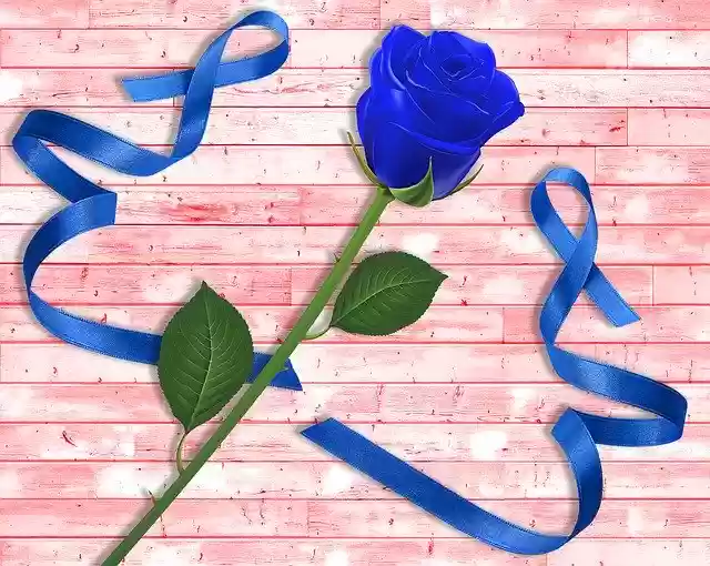 Free download Wall Color Plant -  free illustration to be edited with GIMP free online image editor