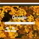 Wallflower  screen for extension Chrome web store in OffiDocs Chromium