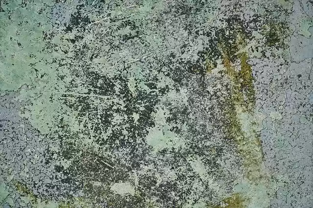 Free download Wall Ground Paint -  free photo or picture to be edited with GIMP online image editor