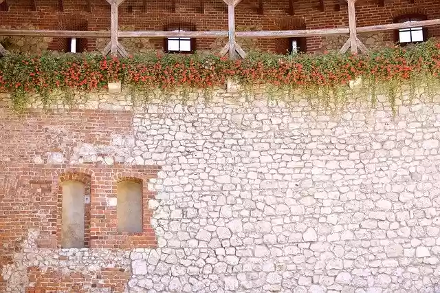 Free download Wallpaper Garden Flowers -  free photo or picture to be edited with GIMP online image editor