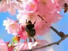 Free download Wallpaper L( 1) free photo or picture to be edited with GIMP online image editor