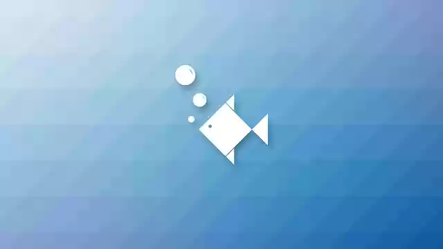 Free download Wallpaper Poly Fish -  free illustration to be edited with GIMP free online image editor