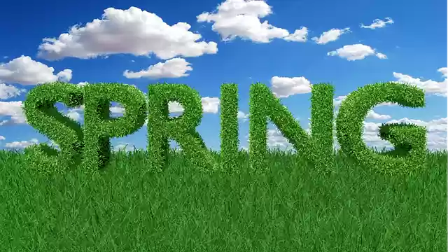 Free download Wallpapers The Background Clipart -  free photo or picture to be edited with GIMP online image editor