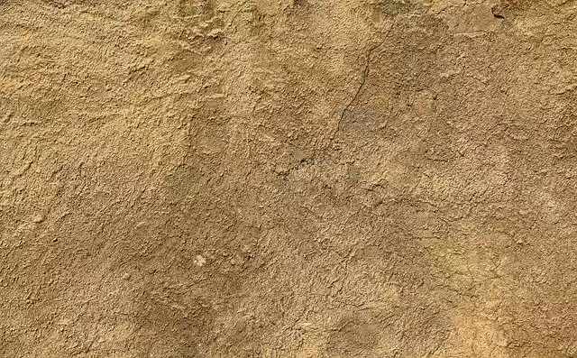 Free download wall plaster texture facade free picture to be edited with GIMP free online image editor