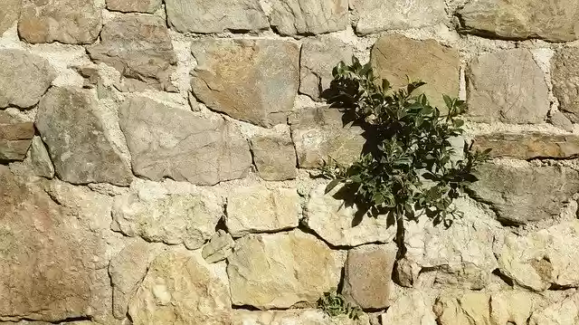 Free download Wall Stones Life -  free free photo or picture to be edited with GIMP online image editor