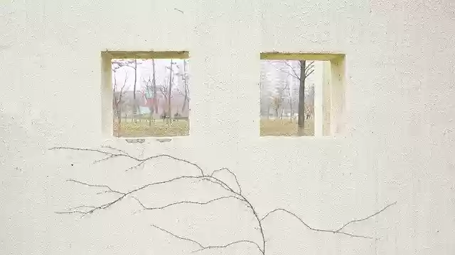 Free download Walls Windows Plants -  free photo or picture to be edited with GIMP online image editor