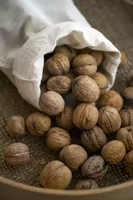 Free download walnuts food healthy organic free picture to be edited with GIMP free online image editor