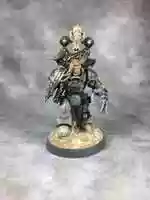 Free download Warhammer 40k - Space Wolf Officer Model free photo or picture to be edited with GIMP online image editor