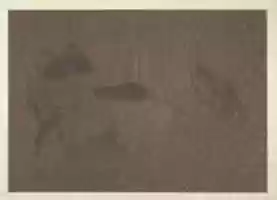 GIMP çevrimiçi resim düzenleyiciyle düzenlenecek At Yıkama ücretsiz fotoğraf veya resmini ücretsiz indirin