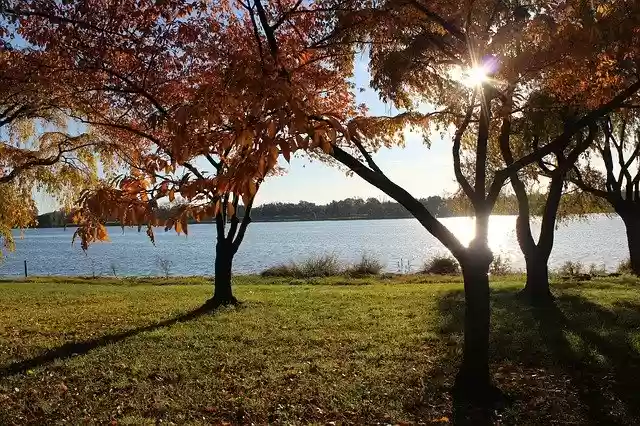 Free download washington dc washington d c free picture to be edited with GIMP free online image editor