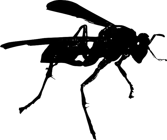Free download Wasp Wings Insect - Free vector graphic on Pixabay free illustration to be edited with GIMP free online image editor