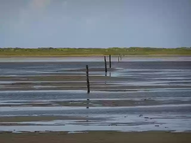 Free download Wasser Ebbe Beach -  free free photo or picture to be edited with GIMP online image editor