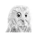Watcher  screen for extension Chrome web store in OffiDocs Chromium