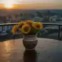 Watch flowers and sunset  screen for extension Chrome web store in OffiDocs Chromium