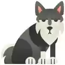 Watchful Husky  screen for extension Chrome web store in OffiDocs Chromium