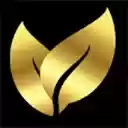 watch live football  screen for extension Chrome web store in OffiDocs Chromium