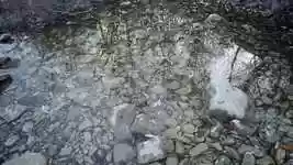 Free download Water Autumn Background -  free video to be edited with OpenShot online video editor