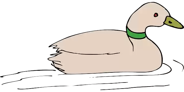 Free download Water Bird Duck - Free vector graphic on Pixabay free illustration to be edited with GIMP free online image editor