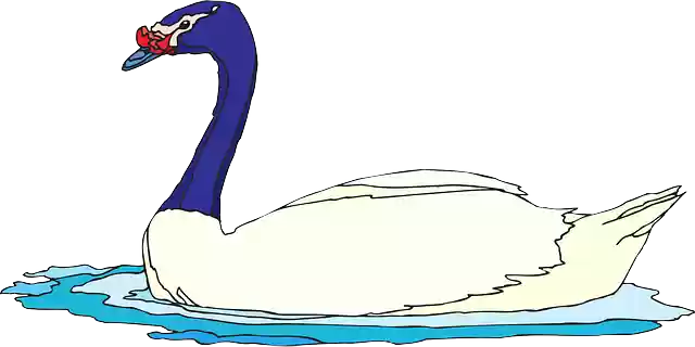 Free download Water Bird Swimming - Free vector graphic on Pixabay free illustration to be edited with GIMP free online image editor