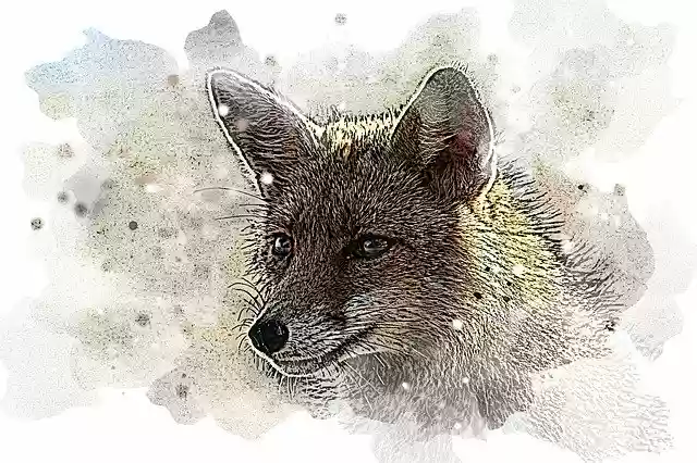 Free download Watercolor Drawing Painting -  free illustration to be edited with GIMP free online image editor