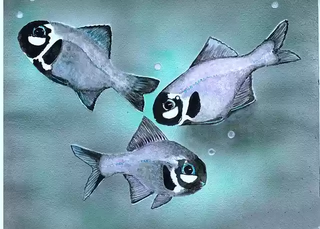 Free download Watercolour Bubbles Fish -  free free photo or picture to be edited with GIMP online image editor