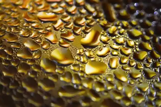 Free download water drops liquid drops macro free picture to be edited with GIMP free online image editor