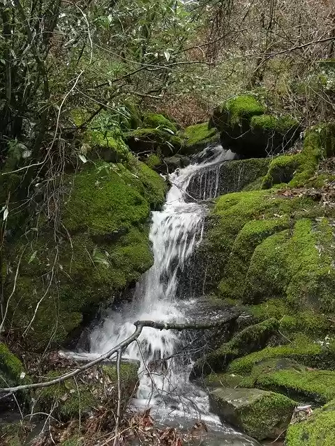 Free download Waterfall Forest Nature -  free photo or picture to be edited with GIMP online image editor