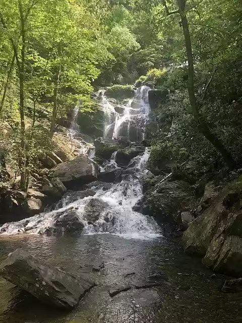 Free download Waterfall Hike Forest -  free free photo or picture to be edited with GIMP online image editor