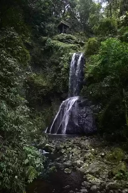 Waterfall Nature  screen for extension Chrome web store in OffiDocs Chromium