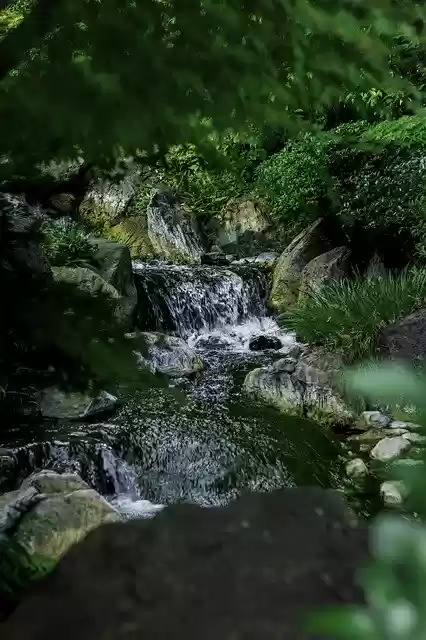 Free download Waterfall Park Natural -  free photo or picture to be edited with GIMP online image editor