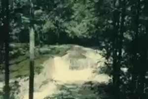 Free download Waterfall, Trees, River, Woods free photo or picture to be edited with GIMP online image editor