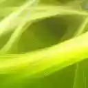 Water Flower  screen for extension Chrome web store in OffiDocs Chromium