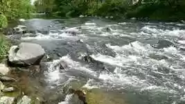 Free download Water Flow Nature -  free photo or picture to be edited with GIMP online image editor