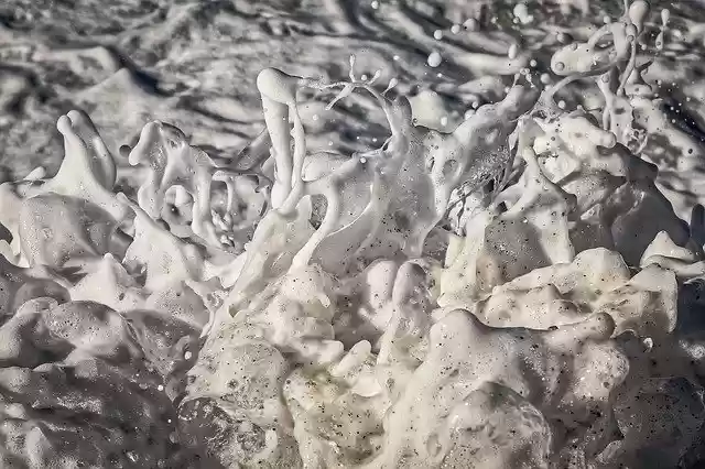 Free download Water Foam Macro free photo template to be edited with GIMP online image editor