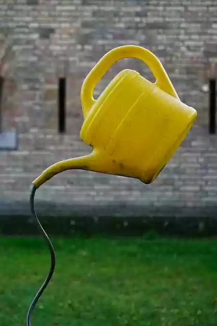 Free download Watering Can Garden Water -  free photo or picture to be edited with GIMP online image editor