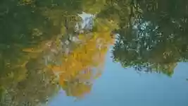 Free download Water Lake Surface -  free video to be edited with OpenShot online video editor